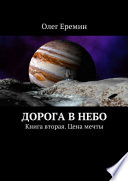 Дорога в небо. Книга вторая. Цена мечты