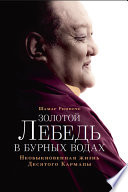 Золотой лебедь в бурных водах. Необыкновенная жизнь Десятого Кармапы