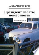 Президент палаты номер шесть. Страна дураков