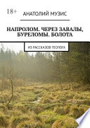 Напролом. Через завалы, буреломы. Болота. Из рассказов геолога