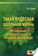 Такая чудесная школьная жизнь. Организация жизнедеятельности коллектива младших школьников