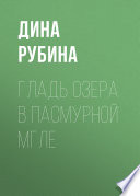 Гладь озера в пасмурной мгле