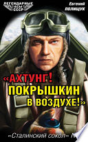 «Ахтунг! Покрышкин в воздухе!». «Сталинский сокол» No 1