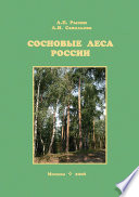 Сосновые леса России