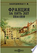 Франция за пять лет: 1914-1919