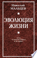 Эволюция жизни. Путь от Богочеловека к человеку