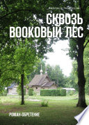 Сквозь Bookовый лес. Роман-обретение