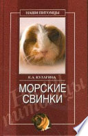 Морские свинки