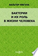 Бактерии и их роль в жизни человек