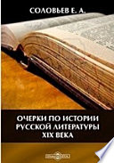 Очерки по истории русской литературы XIX века
