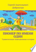 Пионер по имени Один. Удивительные повседневные истории