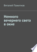 Немного вечернего света в окне