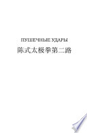 Пушечные удары. Тайцзи-цюань стиля Чэнь, вторая дорожка