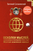 Осколки мыслей, записанные в последнюю треть года Жёлтой Земляной Свиньи