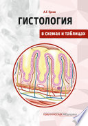 Гистология в схемах и таблицах