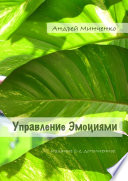 Управление эмоциями. Издание 2-е, дополненное