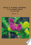 Виды и формы хвойных, культивируемые в России. Часть 2. Picea A. Dietr., Thuja L.