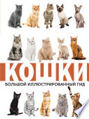 Кошки