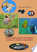 Фотографирование природы и фауны на земле и под водой
