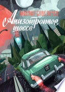 Анизотропное шоссе. Путеводитель по дорогам, которые выбирают