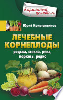 Лечебные корнеплоды. Редька, свекла, репа, морковь, редис