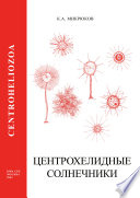 Центрохелидные солнечники (Centroheliozoa)