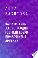 Как изменить жизнь за один год, или добро пожаловать в Америку