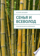 Сенья и Всеволод. Приключения в нейромире