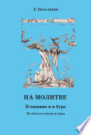 На молитве. В тишине и в буре