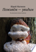 Поживём – увидим. По дневникам путешественника