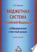 Бюджетная система Российской Федерации: субфедеральный и местный уровни