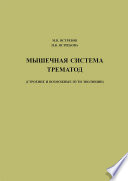 Мышечная система трематод (строение и возможные пути эволюции)