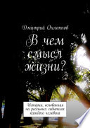 В чем смысл жизни? История, основанная на реальных событиях каждого человека