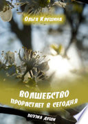 Волшебство прорастает в Сегодня. Поэзия души