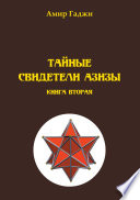 Тайные свидетели Азизы. Книга 2. Адель