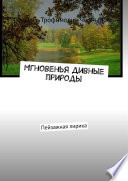 Мгновенья дивные природы. Пейзажная лирика