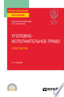 Уголовно-исполнительное право. Практикум 2-е изд. Учебное пособие для СПО