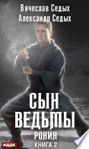 Сын ведьмы. Книга 2. Ронин