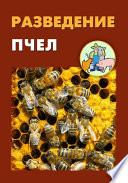 Разведение пчел