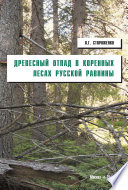 Древесный отпад в коренных лесах Русской равнины