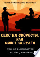 Секс на скорости, или Минет за рулём. Полное руководство по сексу в машине