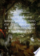 Сказка о юном школьнике Степане, его друге профессоре и их приключениях в чужом мире. Новелла-сказка