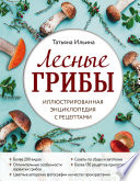 Лесные грибы. Иллюстрированная энциклопедия с рецептами