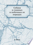 Собака в главных и побочных ее породах