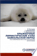 Брыжеечные лимфатические узлы байкальской нерпы: гистоморфология в постнатальном онтогенезе