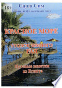 Красное море – уголок земного Рая. Путевые заметки из Египта