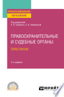 Правоохранительные и судебные органы. Практикум 3-е изд., пер. и доп. Учебное пособие для СПО