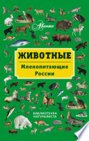 Животные. Млекопитающие России