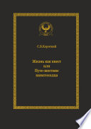 Жизнь как квест, или Путе-шествие канатоходца. Серия «Искусство управления»