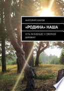 «Родина» наша. Есть ли будущее у северной деревни?